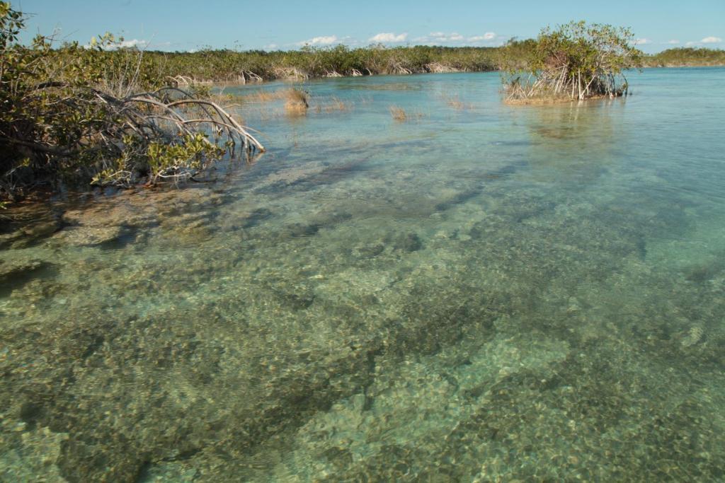 Casa China Bacalar Hotel Buitenkant foto